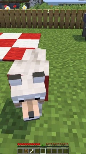 Не ожидал такого от Бобика! #сарол