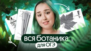 💪БОТАНИКА с НУЛЯ до PRO|ОГЭ по биологии 2026