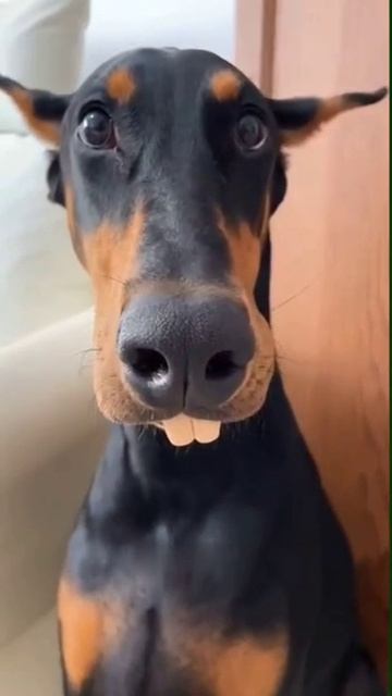 идеально😅