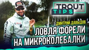 Искусство ловли пассивной форели. Микроколебалки: выбор, снасть, анимация.