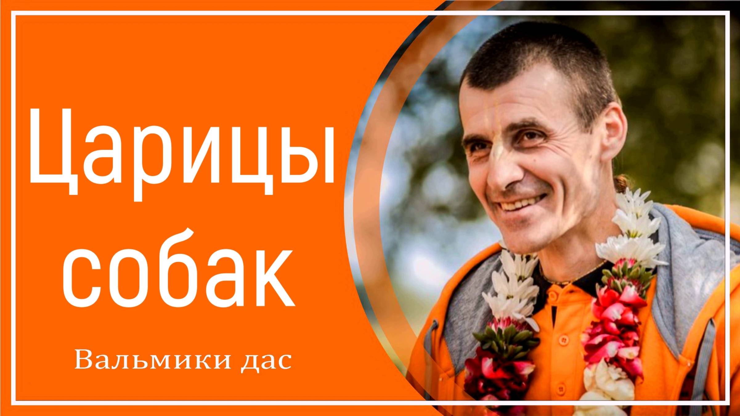 Царицы собак смотреть онлайн