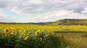 Татарстан База отдыха Алтай красивые пейзажи