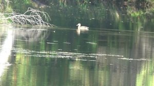 Наконец-то начинаются мужские забавы #7