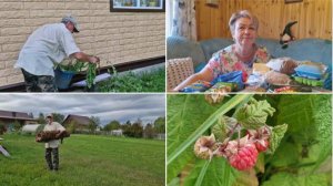 ЕЗДИЛИ В "ПЯТЕРОЧКУ", ПОСМОТРИМ ЧТО КУПИЛИ.ПОБАЛОВАЛА СЕБЯ МАЛЕНЬКИМ ПОДАРКОМ.