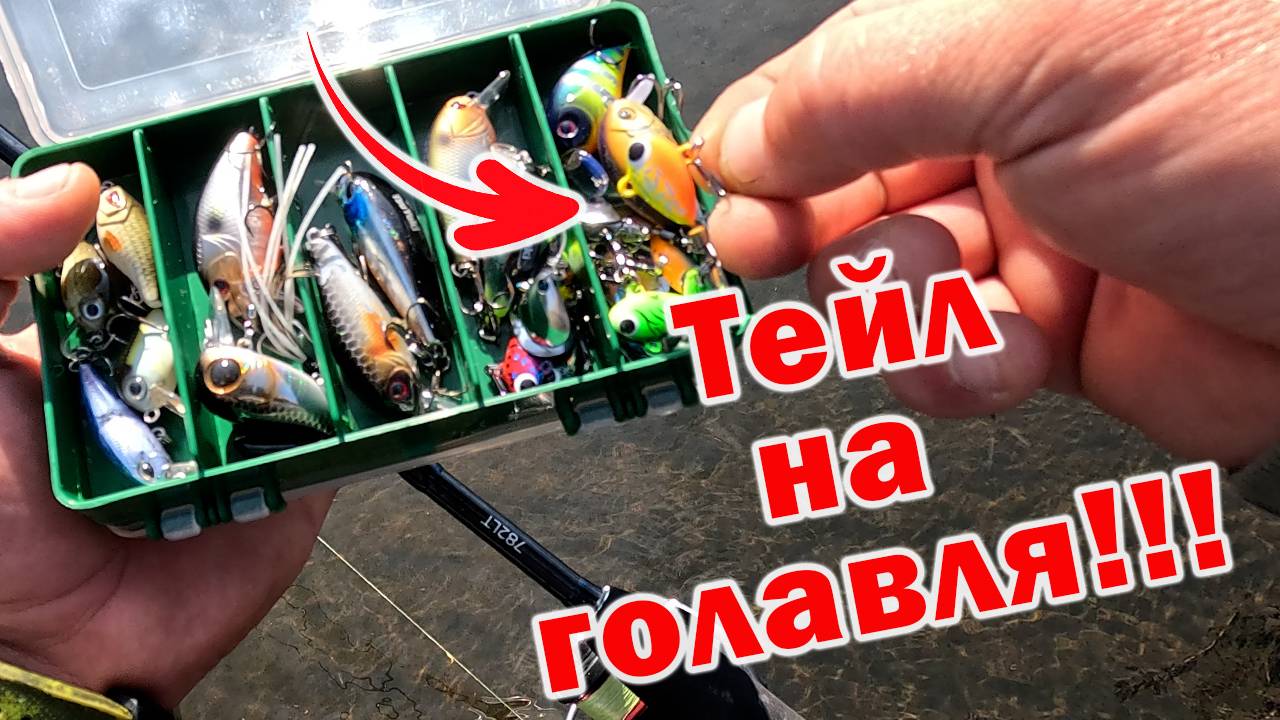 Я ДАЖЕ И НЕ ДУМАЛ, ЧТО ОНА МОЖЕТ ТАКОЕ!!! МОЁ НОВОЕ ОТКРЫТИЕ ПРИ ЛОВЛЕ ГОЛАВЛЯ!!! смотреть онлайн