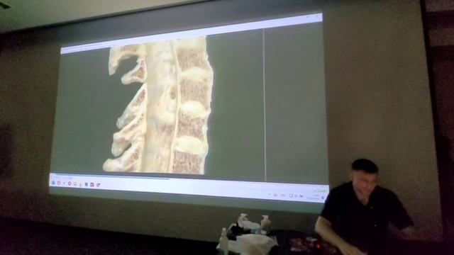 Семинар в г.Пятигорск - 2/3 ступень, сентябрь 2025 (часть 8) смотреть онлайн