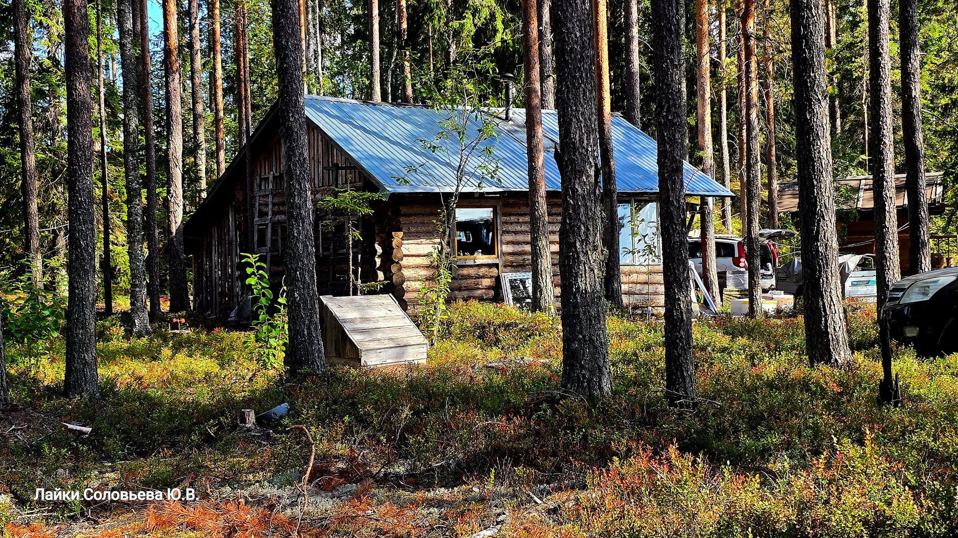 По соседству на озере