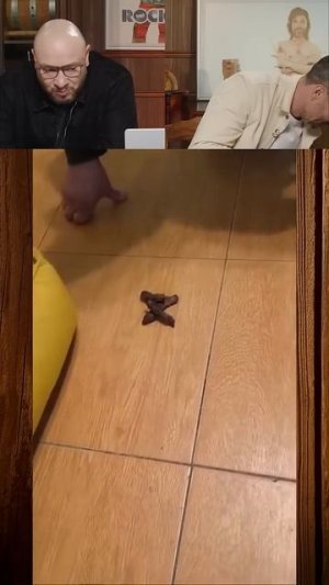 ЗАСМЕЯЛСЯ-ПОДПИСАЛСЯ!😂