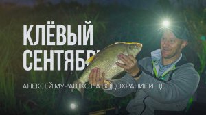 Трофей на утренней зорьке! Ночная фидерная рыбалка на леща