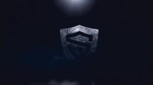 Частная охранная организация - ЧОО «СТБ»