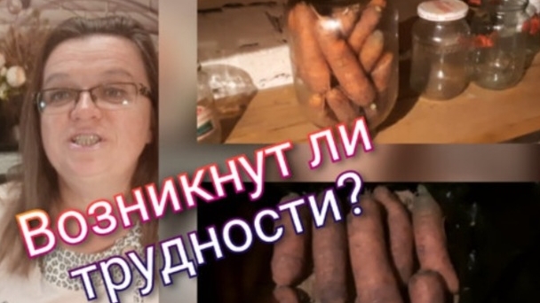 Хранение моркови смотреть онлайн