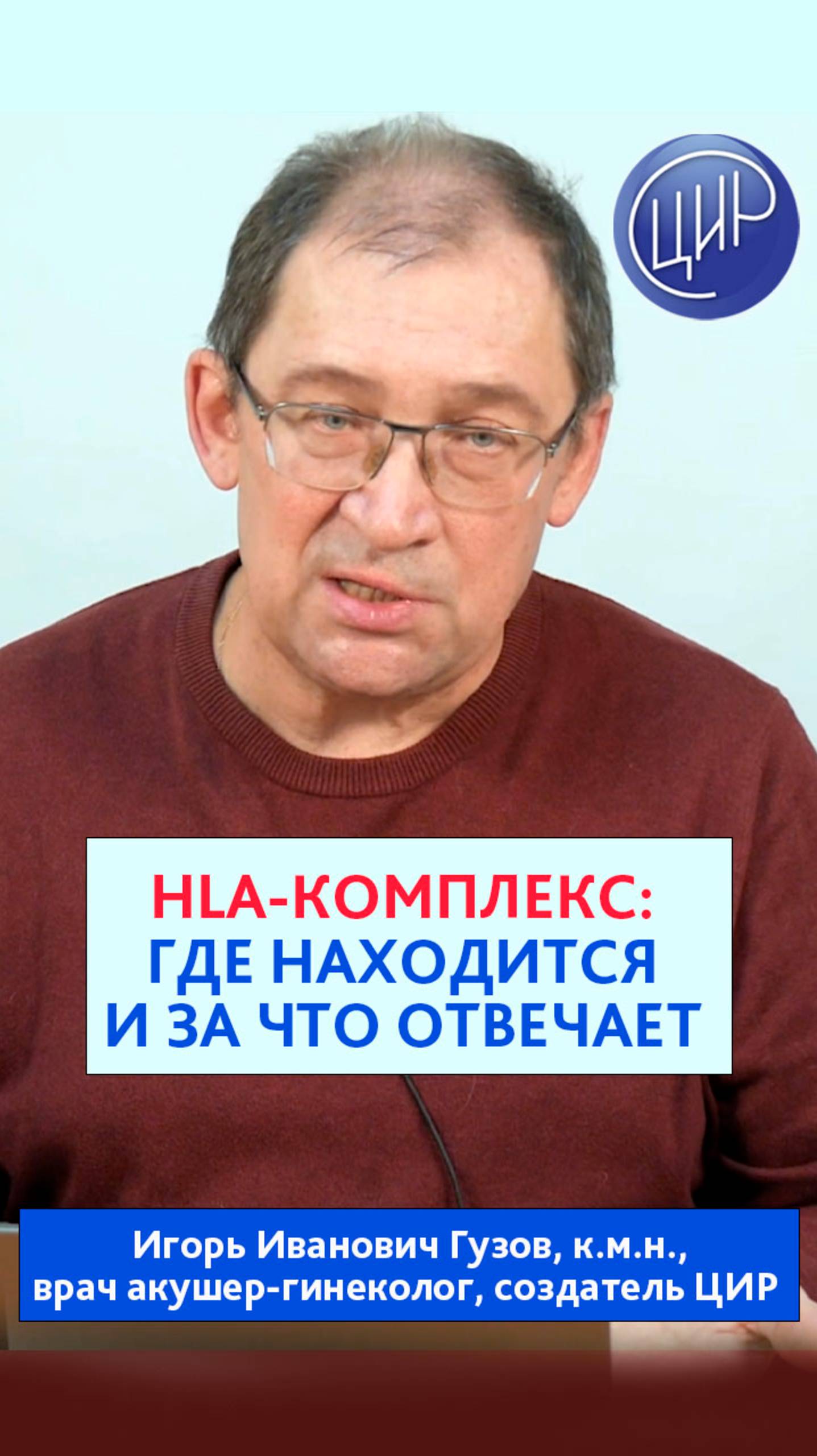 Комплекс HLA генов: где находится и как наследуется главный комплекс гистосовместимости человека. смотреть онлайн