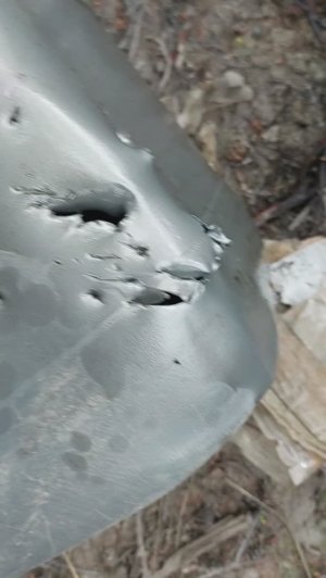 МИХАИЛ ПОТАПЫЧ И НАШ БЕНЗИН