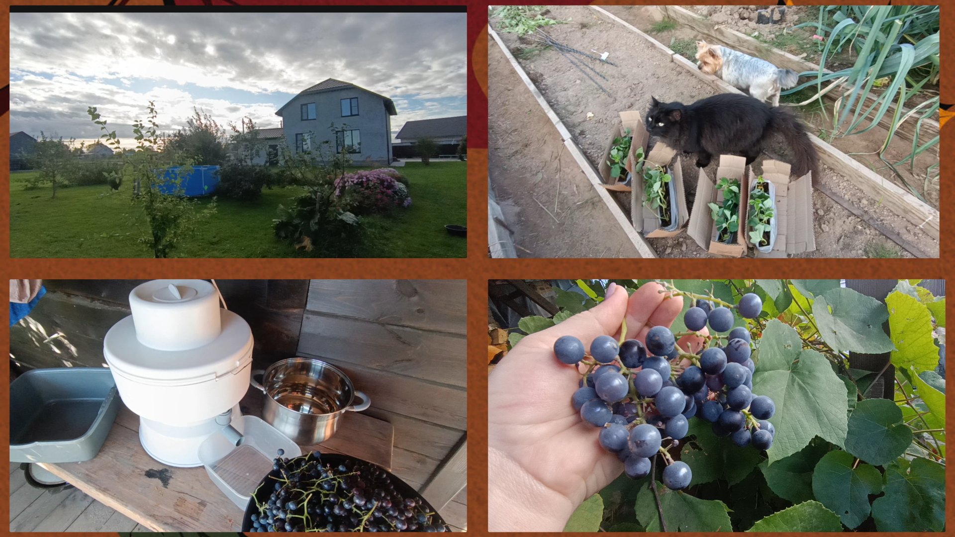 Тестирую соковыжималку Салют смотреть онлайн