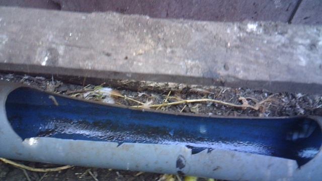 Обзор нашей коллективной поилки для кур