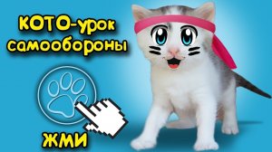 ШКОЛА КОТОВ! УРОК САМООБОРОНЫ У МУРКИ!  [2018]
