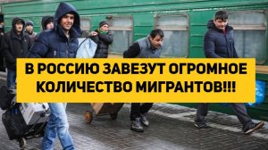 В РОССИЮ ЗАВЕЗУТ ОГРОМНОЕ КОЛИЧЕСТВО МИГРАНТОВ!!!