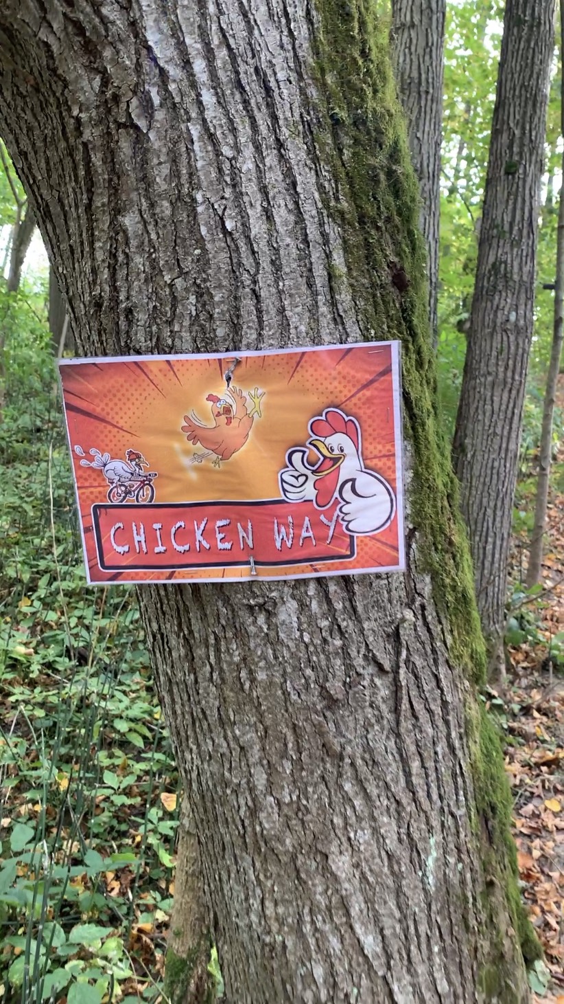 Sur ron X 2025 катнул горки смотреть онлайн