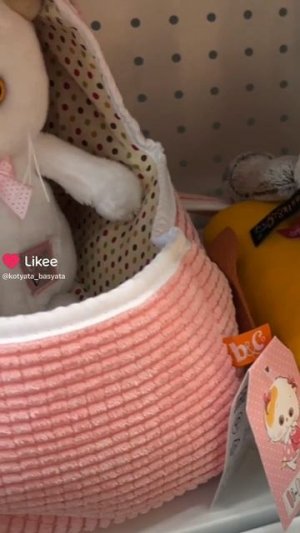 Новые Басики! #басики #басик #пробасика #волшебныебудни