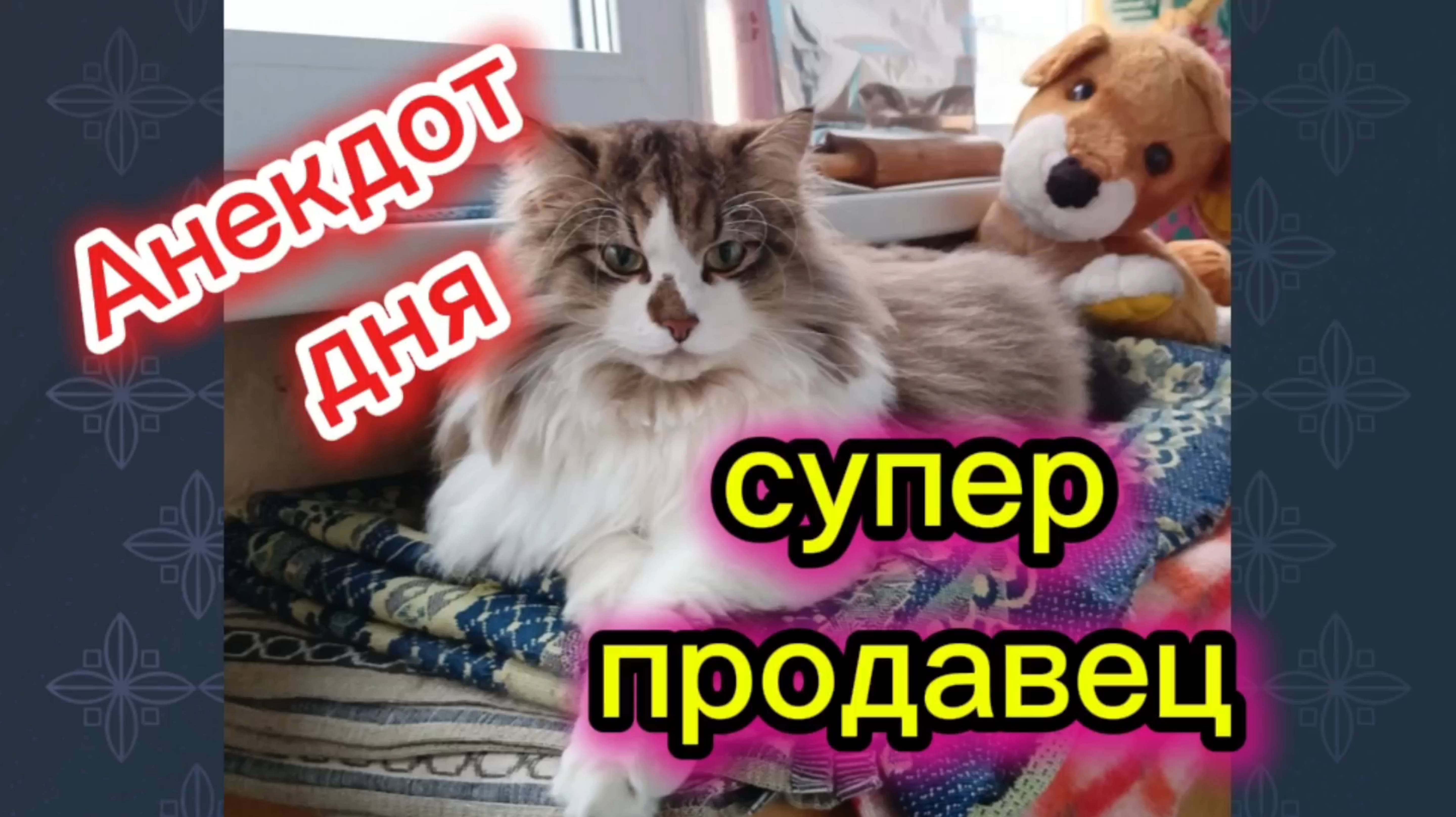 Анекдот дня. смотреть онлайн