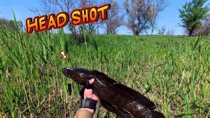 Рыбалка с Рогаткой — Быстро и с Результатом #рекомендации#рыбалкасрогаткой#fishing#2025#youtube#top