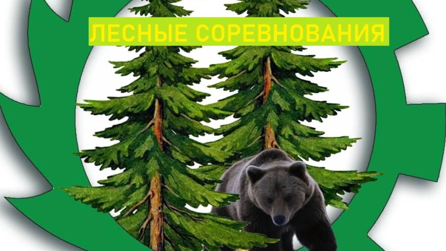 Лесные соревнования!