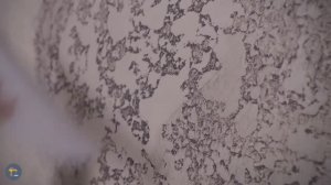 Декоративная штукатурка из обычной шпаклевки пошаговая инструкция своими руками