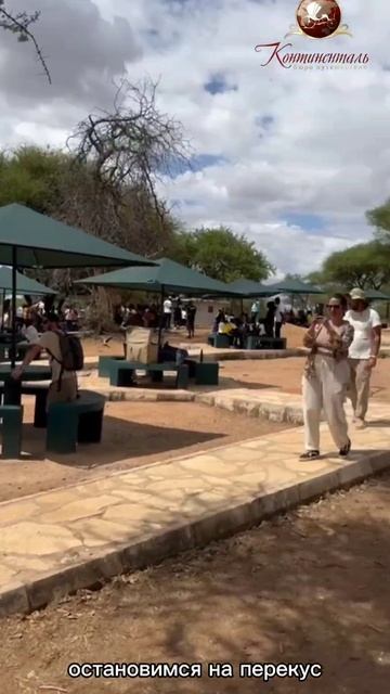 Сафари 1 день