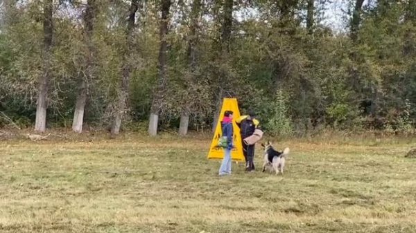 Фиелисс Ортон ПРК+ 
Липецк. 20.09.2025.