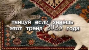 танцуй если знаешь этот тренд 2025 года