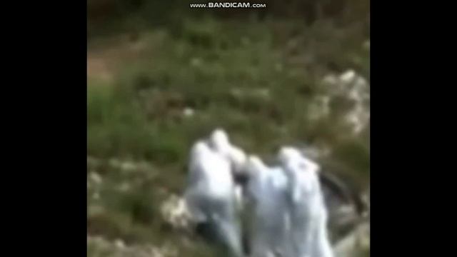 Ужасные монстры, мистика погоста, летающие чудовища. Самые таинственные наблюдения смотреть онлайн