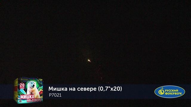 P7021 смотреть онлайн