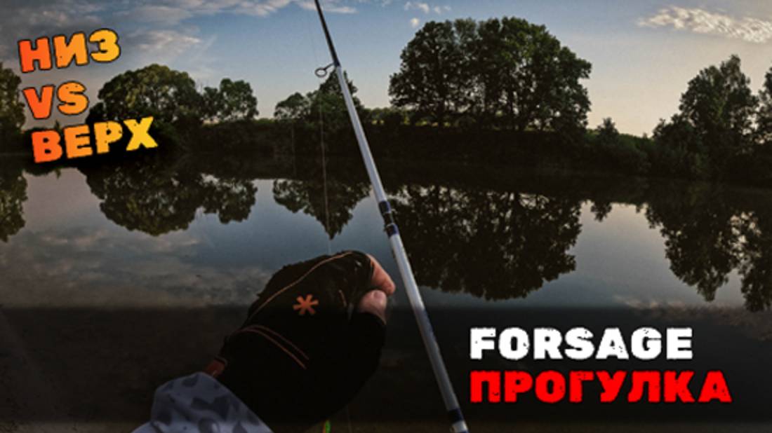 Утренняя зарядка с Forsage Nitro Travel