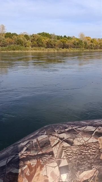 плывём по реке Бия