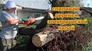 Спиливаю деревья на пасеке.Электрическая пила DAEWOO DACS 1900 E