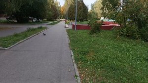 прогулка по городу Пущино часть 2.