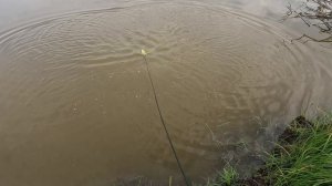 рыбалка на кастинговую сеть