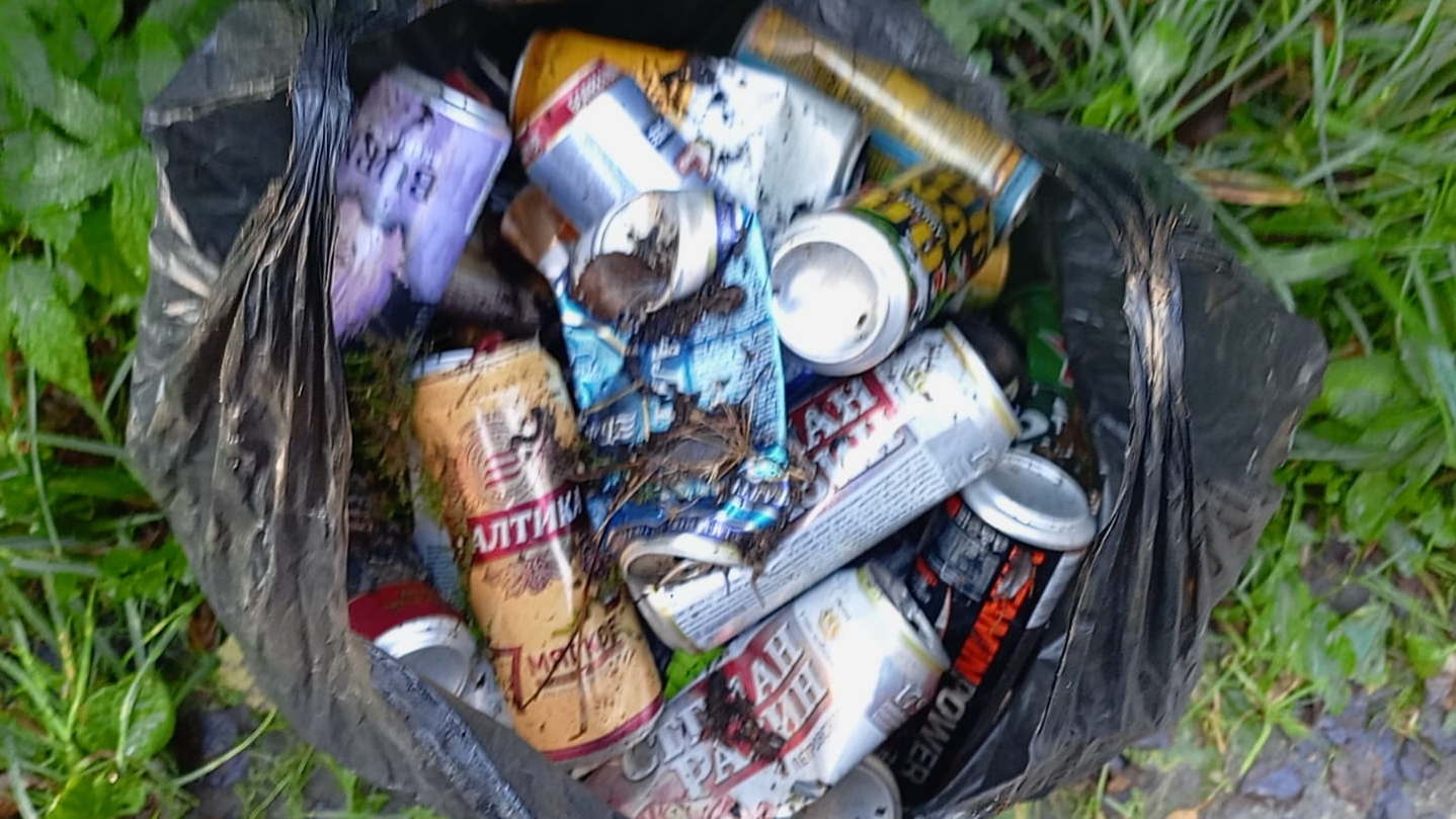 Собираем Мусор в лес, зарабатываем деньги смотреть онлайн