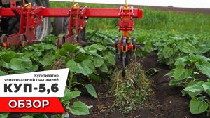Универсальный пропашкой культиватор КУП-5,6