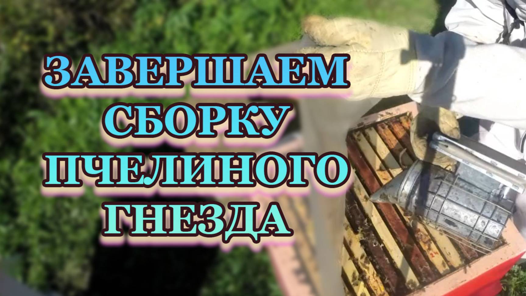 Сборка гнезда пчёл в зиму, часть вторая, завершающая. смотреть онлайн