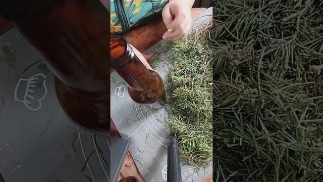 Пихтовое масло своими руками. смотреть онлайн