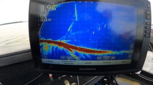 Что такое Panoptix. Паноптикс ЭТО!