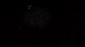 Охота на Барсука 🦝