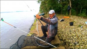 Закинул Крокодилы на острове- клюнул змей