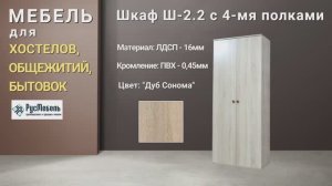 Шкаф Ш2-2 с полками для хостела гостиницы общежития обзор и характеристики