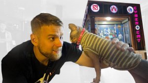 Они открыли Компьютерный клуб в Казахстане за «3 дня!» Обзор Cyber Cat! #HappyPC