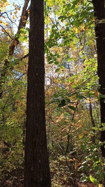 Откровенно светлый