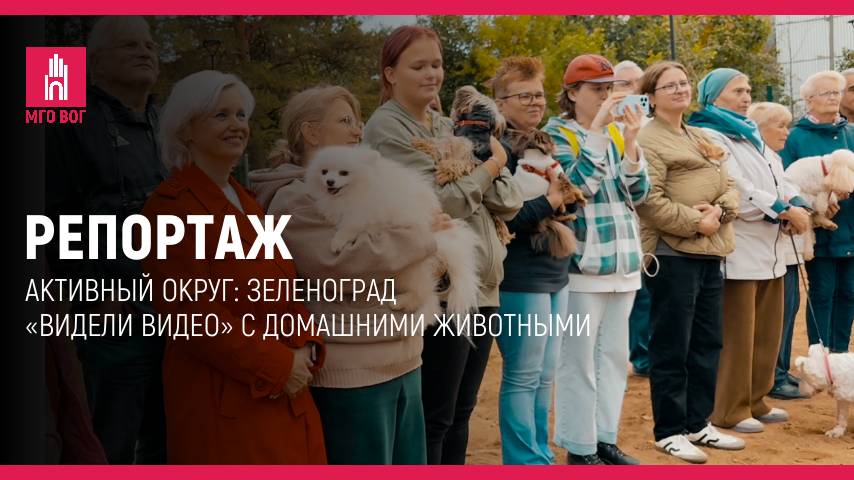 Репортаж: Активный округ: Зеленоград «Видели видео?» с домашними животными смотреть онлайн