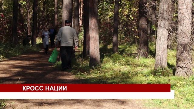 КРОСС НАЦИИ смотреть онлайн