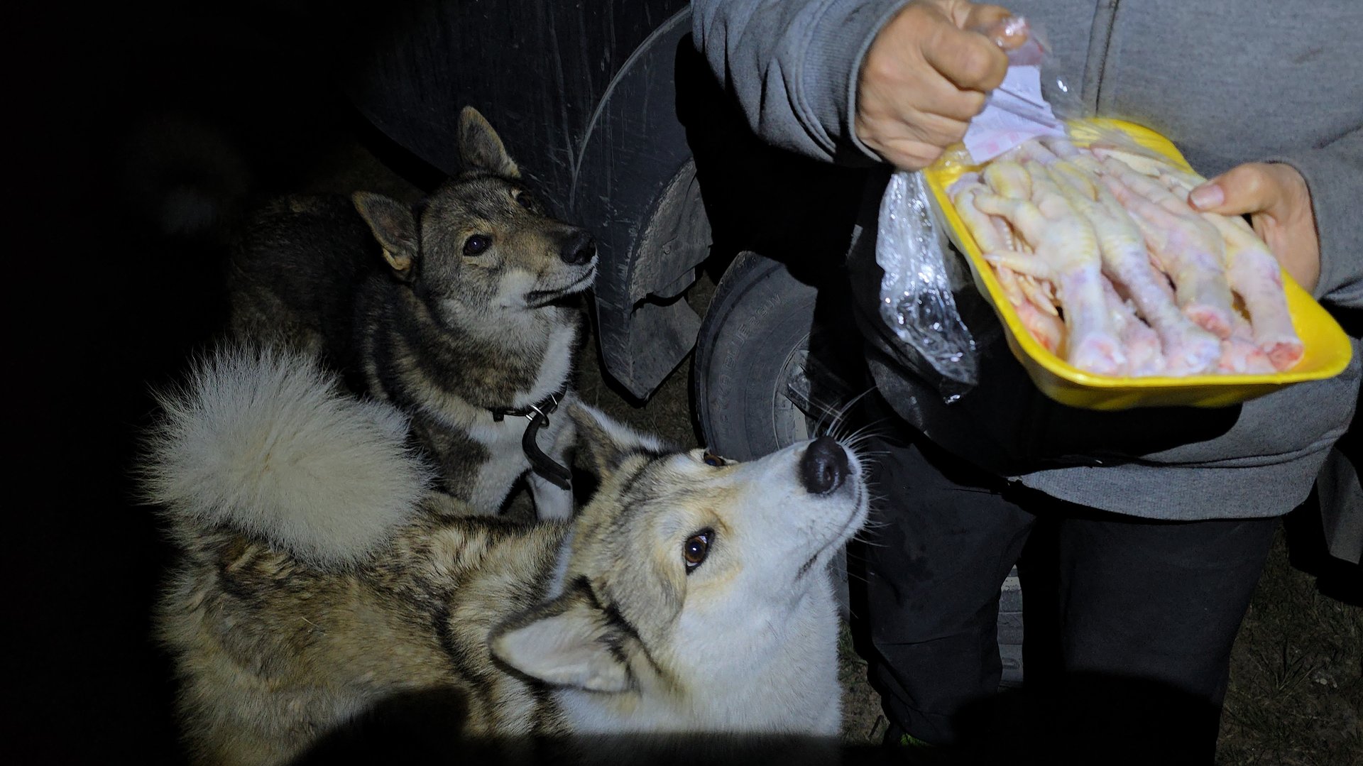 На старом месте